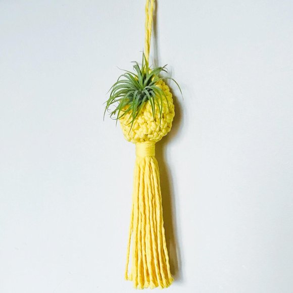 COPY - COPY 1- Handmade macrame air plant pod - Picture 2 of 5